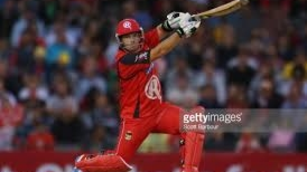 Article image for Star-studded Melbourne Renegades line-up show they can handle the Heat