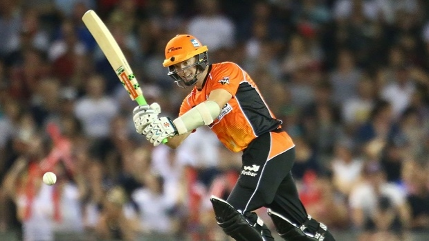 Article image for Perth continue unbeaten streak against Melbourne Renegades