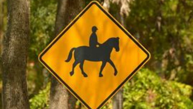 Article image for Ambulance Victoria urge caution following four horsing accidents