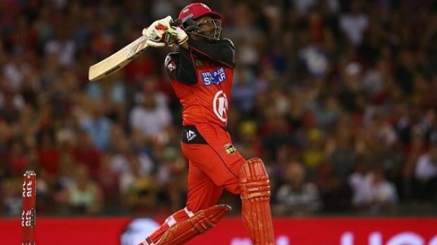 Article image for Chris Gayle’s heroics not enough as Melbourne Renegades bow out of BBL05