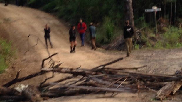 Article image for Protesters blockade timber workers in East Gippsland