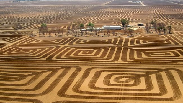 Article image for Saving a topsoil a fine art for SA farmer Brian Fischer