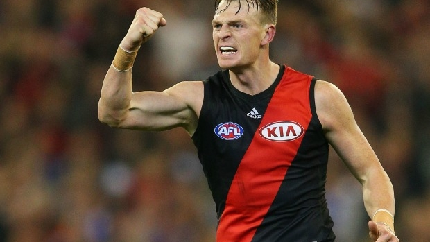 Article image for Matthew Lloyd will be ‘staggered’ if all 12 banned Bombers stay with Essendon