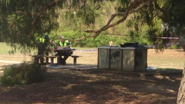 Article image for Decapitated kangaroo left cooking on public barbecue at Diamond Creek