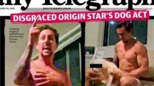 Article image for Ross Stevenson on The Daily Telegraph’s decision to blur out dog face