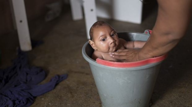 Article image for Zika virus spread a ‘global health crisis’