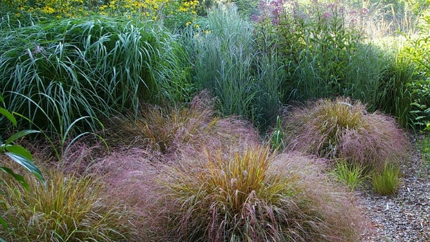 Article image for Workshop: grasses and their lookalikes