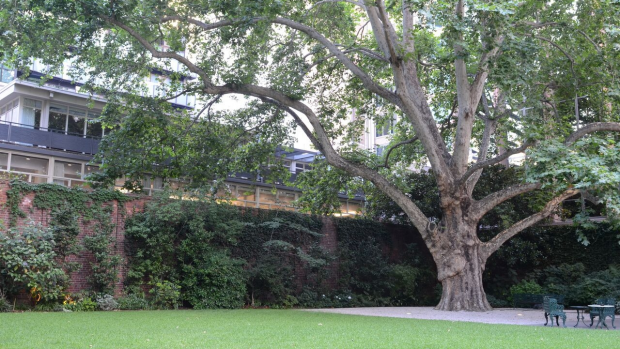 Article image for Open Garden at The Melbourne Club