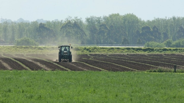 Article image for Chinese investment ‘crucial’ to Australian agriculture industry