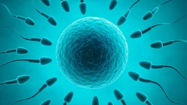 Article image for Changes to sperm donation legislation will ‘stop men from donating’
