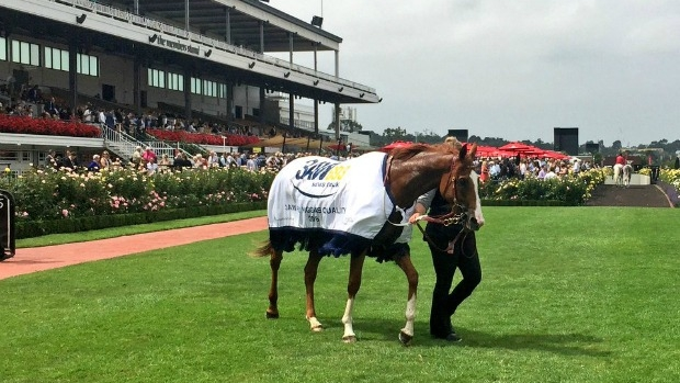 Article image for RECAP: 3AW at the 2016 Australian Guineas at Flemington