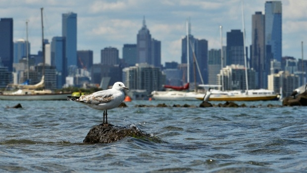 Article image for Most Port Phillip beaches ‘unsuitable’ for swimming this weekend