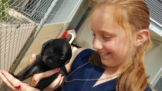 Article image for Poowong family given new dog after losing beloved labrador in fire