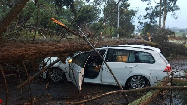 Article image for Wild weather lashes Victoria, severe thunderstorm warnings issued