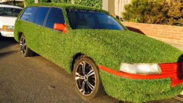 Article image for Unique ‘grass car’ stolen at Reservoir