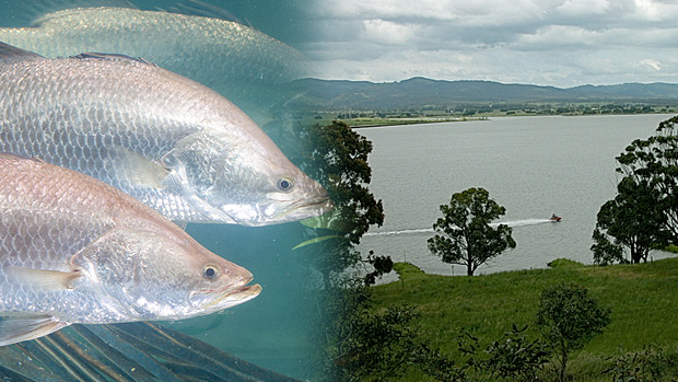 Article image for RUMOUR CONFIRMED: Morwell to become fishing hot spot