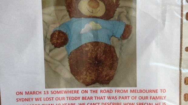 Article image for A $5000 reward has been posted for the return of a missing teddy bear