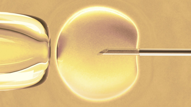 Article image for Australian researchers use new high-tech digital technique to improve IVF success