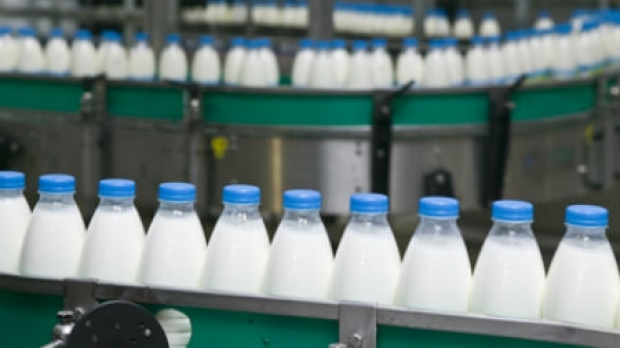 Article image for Labor and Victorian Dairy industry deliver $11.4 million for dairy farmers