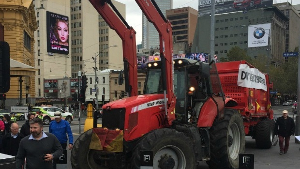 Article image for Farmers in tractors with cows in tow are protesting in the city