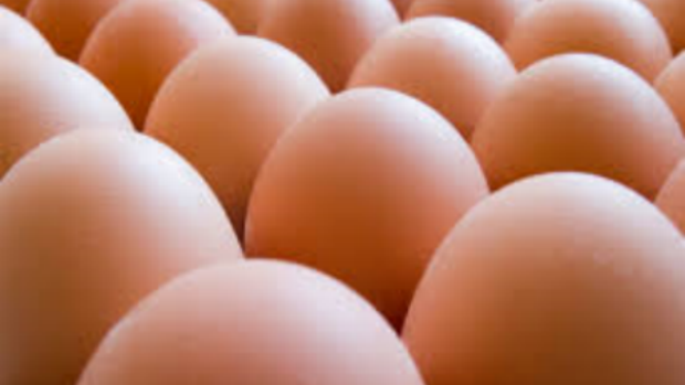 Article image for Egg shortage explained