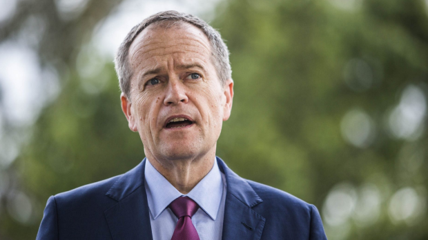 Article image for Bill Shorten concedes, Coalition will form government