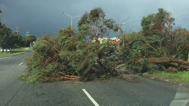 Article image for Melbourne set for wet and windy Tuesday, with snow to arrive on Wednesday