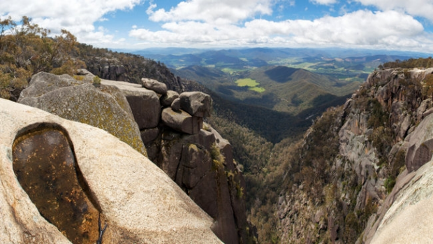 Article image for Fight erupts over dingoes on Mount Buffalo