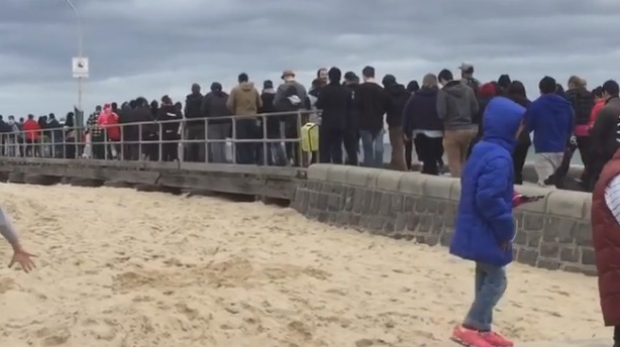 Article image for Hundreds flock to Altona beach to find Pokemon