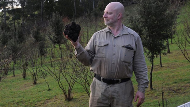 Article image for Yarra Valley truffle grower may have uncovered a record-breaking truffle
