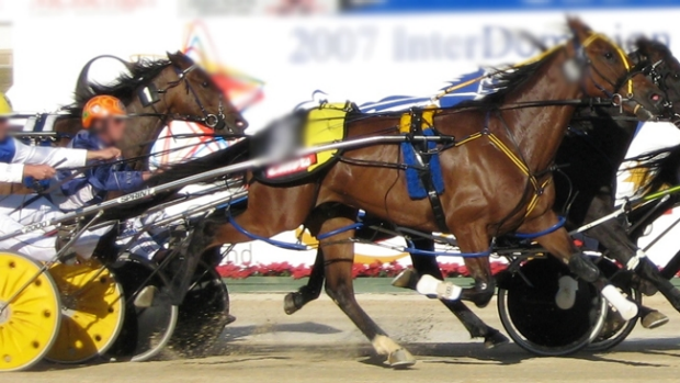 Article image for Police make arrests over alleged Harness Race fixing at Cobram