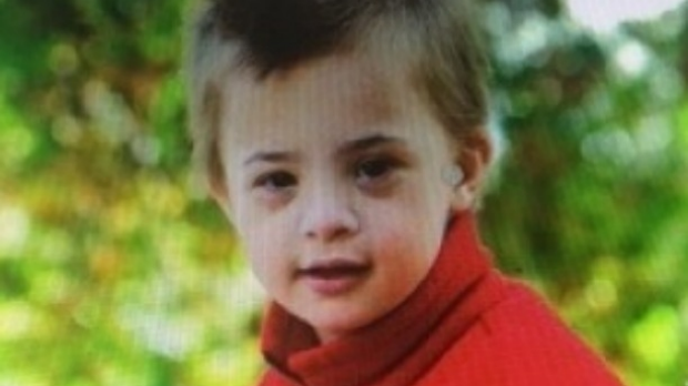 Article image for Six-year-old boy missing from Beechworth farm has been found
