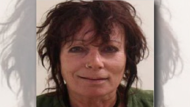 Article image for Police search for missing Humevale woman Debra Barbu
