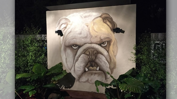 Article image for Ross and John speak with the Bulldogs fan with huge bulldog mural in his backyard