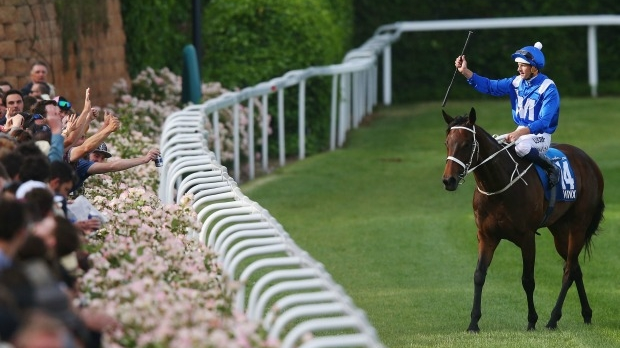 Article image for Just two rivals accept against Winx in Saturday’s Caulfield Stakes