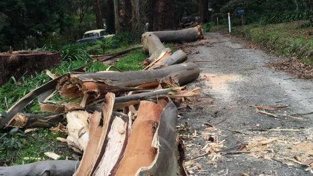 Article image for More than 4000 homes and business still without power after wild winds