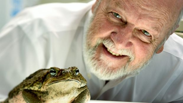 Article image for Living with cane toads: Professor Rick Shine wins Prime Minister’s national science prize for his idea