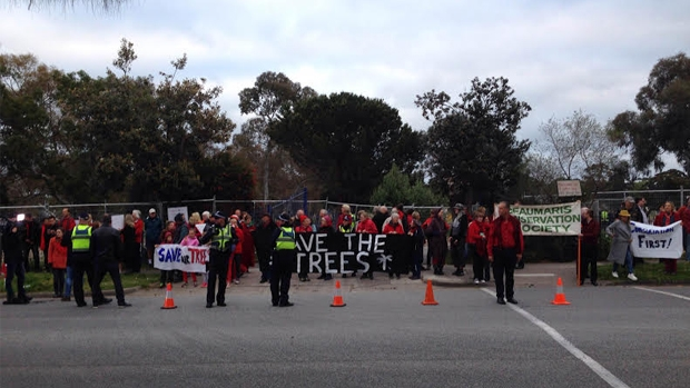 Article image for Local residents protest the removal of 229 trees from Beaumaris high school