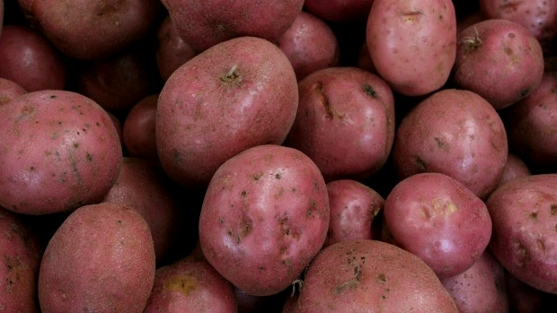 Article image for Washed out: Victoria’s spud season in doubt