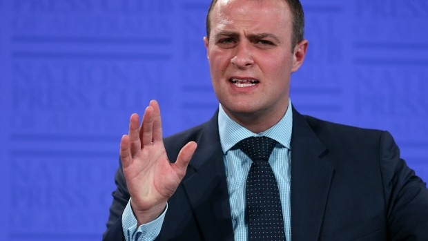 Article image for Tim Wilson rejects claims he seriously predicted a Labor election victory