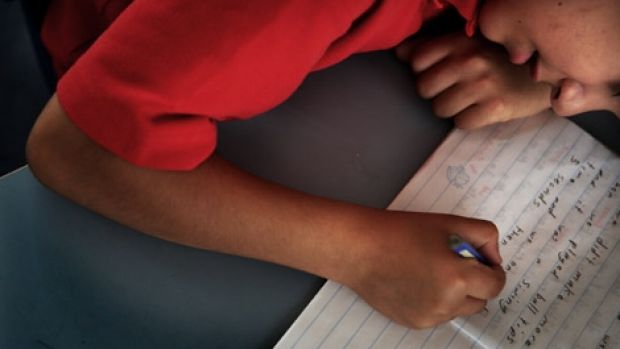Article image for Homeschooling crackdown unfairly targets educators
