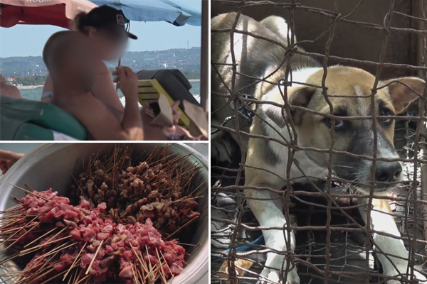 Article image for Australian tourists are unwittingly eating dog meat in Bali