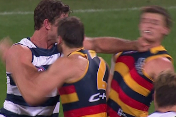 Article image for Tom Hawkins suspended for jumper punch