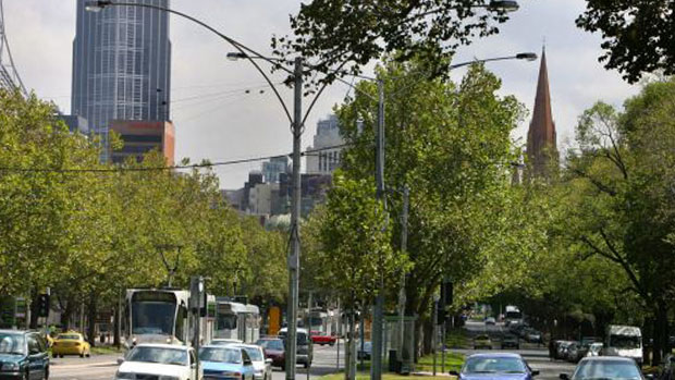 Article image for City of Melbourne to be compensated for trees removed for Metro Rail