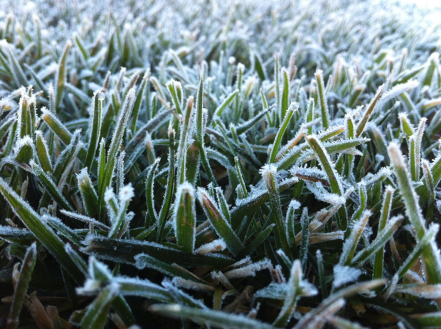 Article image for That’s officially the coldest Melbourne has been in seven years