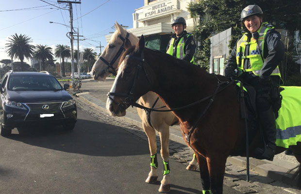Article image for Police horses hit the streets of St Kilda!