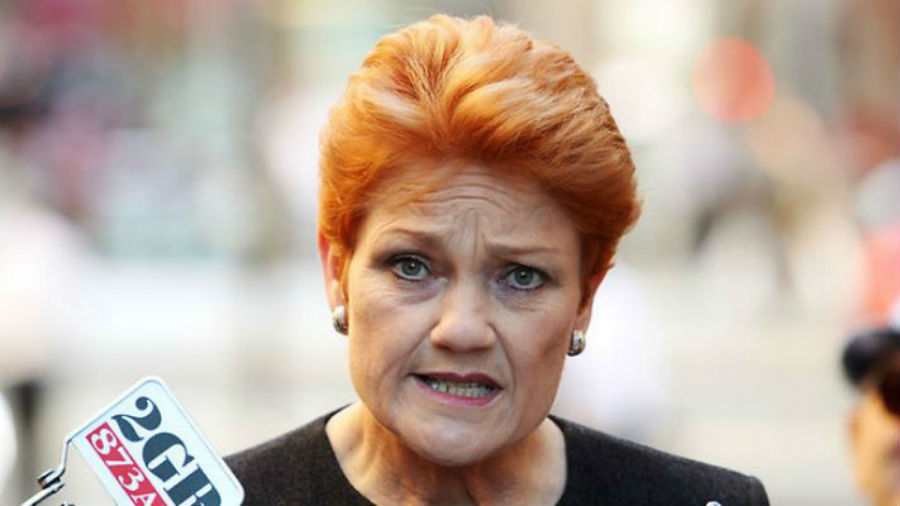 Article image for Pauline Hanson claims foreign interference and says she’ll take “appropriate action” against journalists