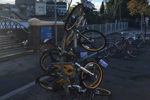 Article image for Obikes to be impounded: Lord Mayor