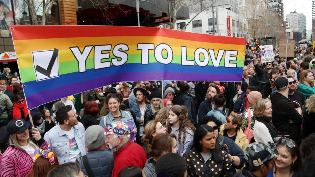 Article image for Same-sex postal vote given the go-ahead in court