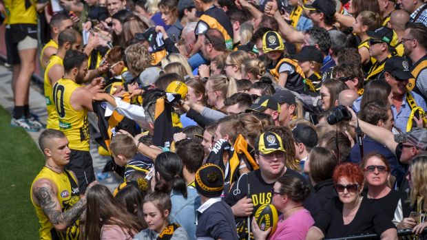 Article image for Tiger army set to be locked out of open training